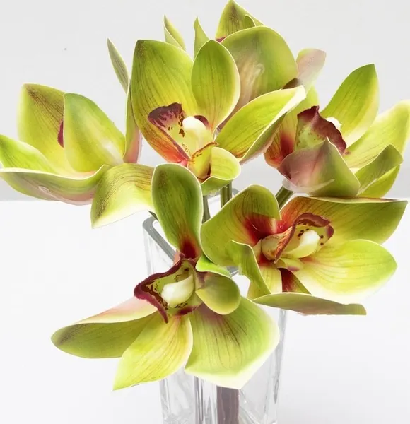 Ramillete de cymbidium, varios colores