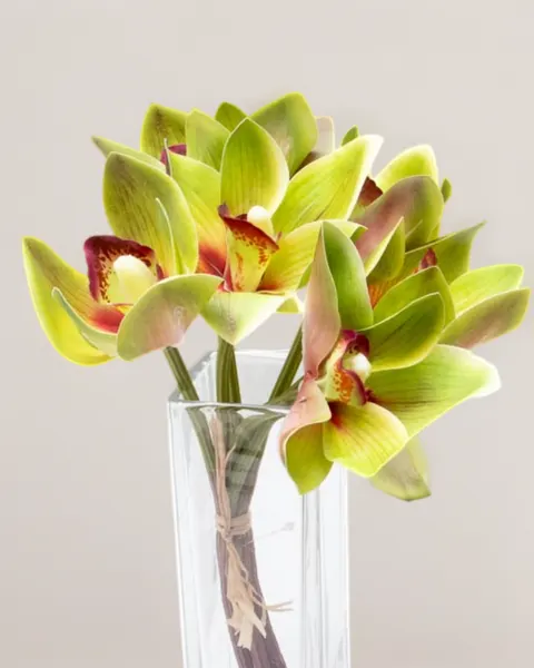 Ramillete de cymbidium, varios colores