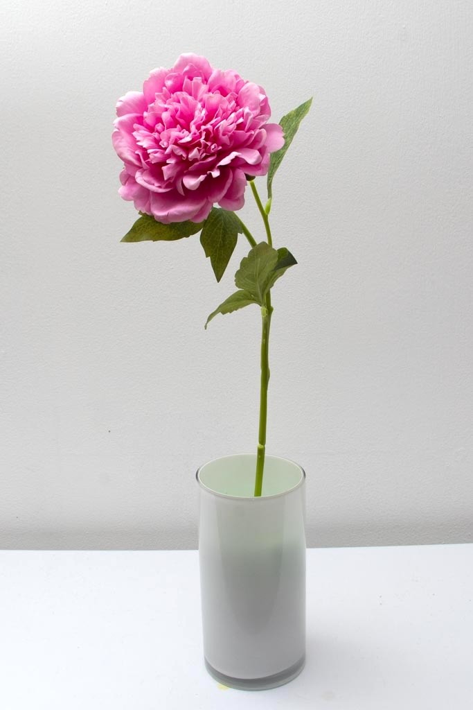 Peonia china 56cm, varios colores