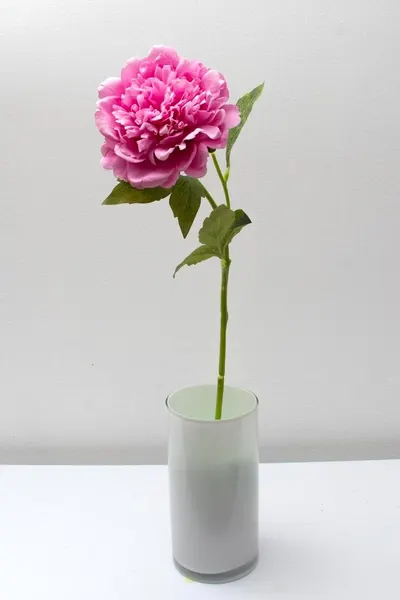 Peonia china 56cm, varios colores