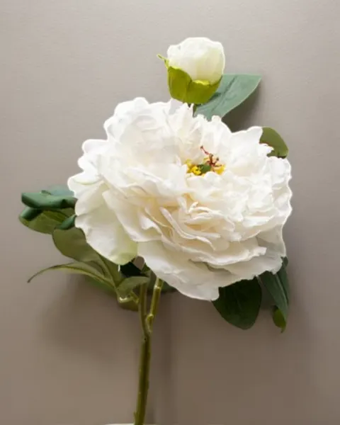 Peonia china con botón 40cm, varios colores