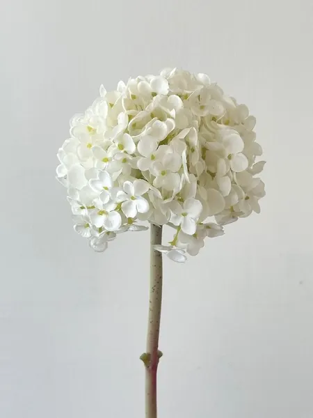 Vara de hortensia ajisai de 55cm soft touch, varios colores