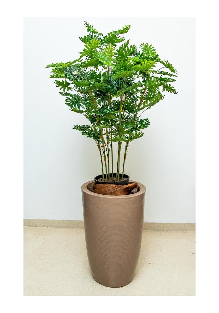 Planta philodendrom de 100 cm de altura