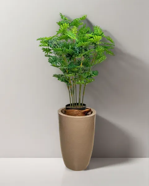 Planta philodendrom de 100 cm de altura