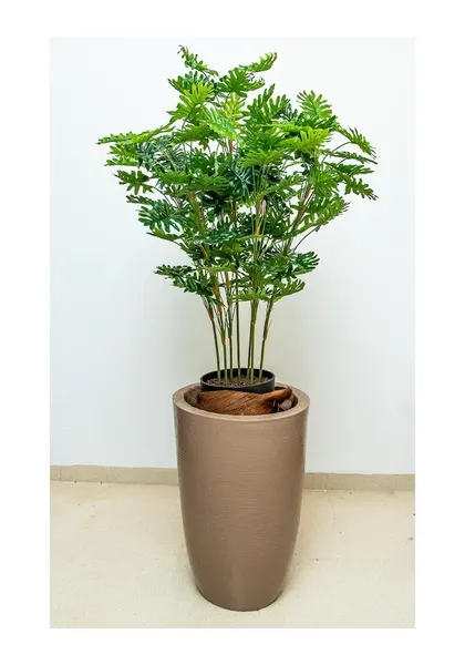 Planta philodendrom de 100 cm de altura