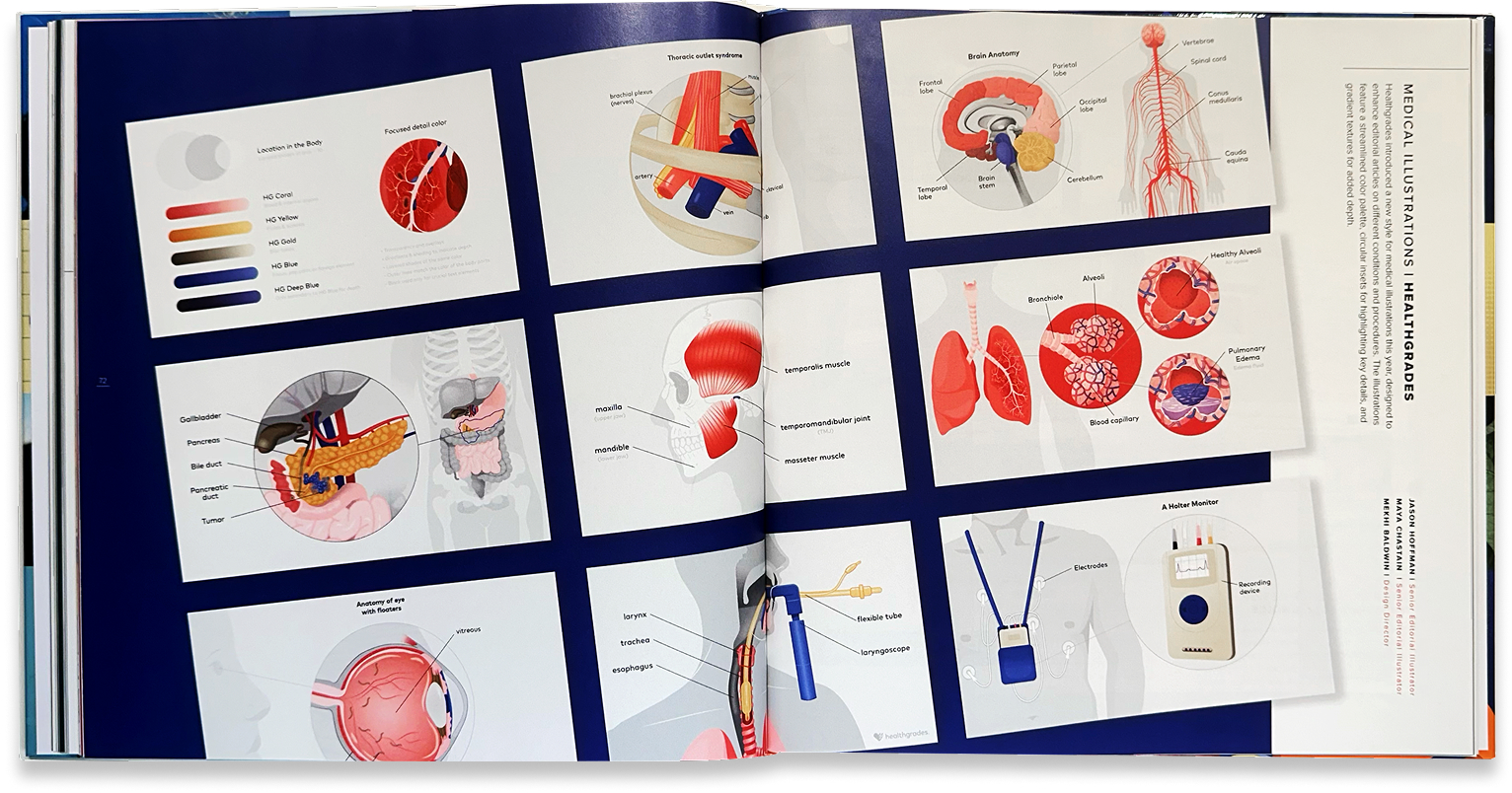 Medical illustration system presents anatomy diagrams and editorial applications for health content.