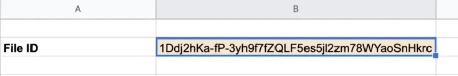 file-id-for-drive-access