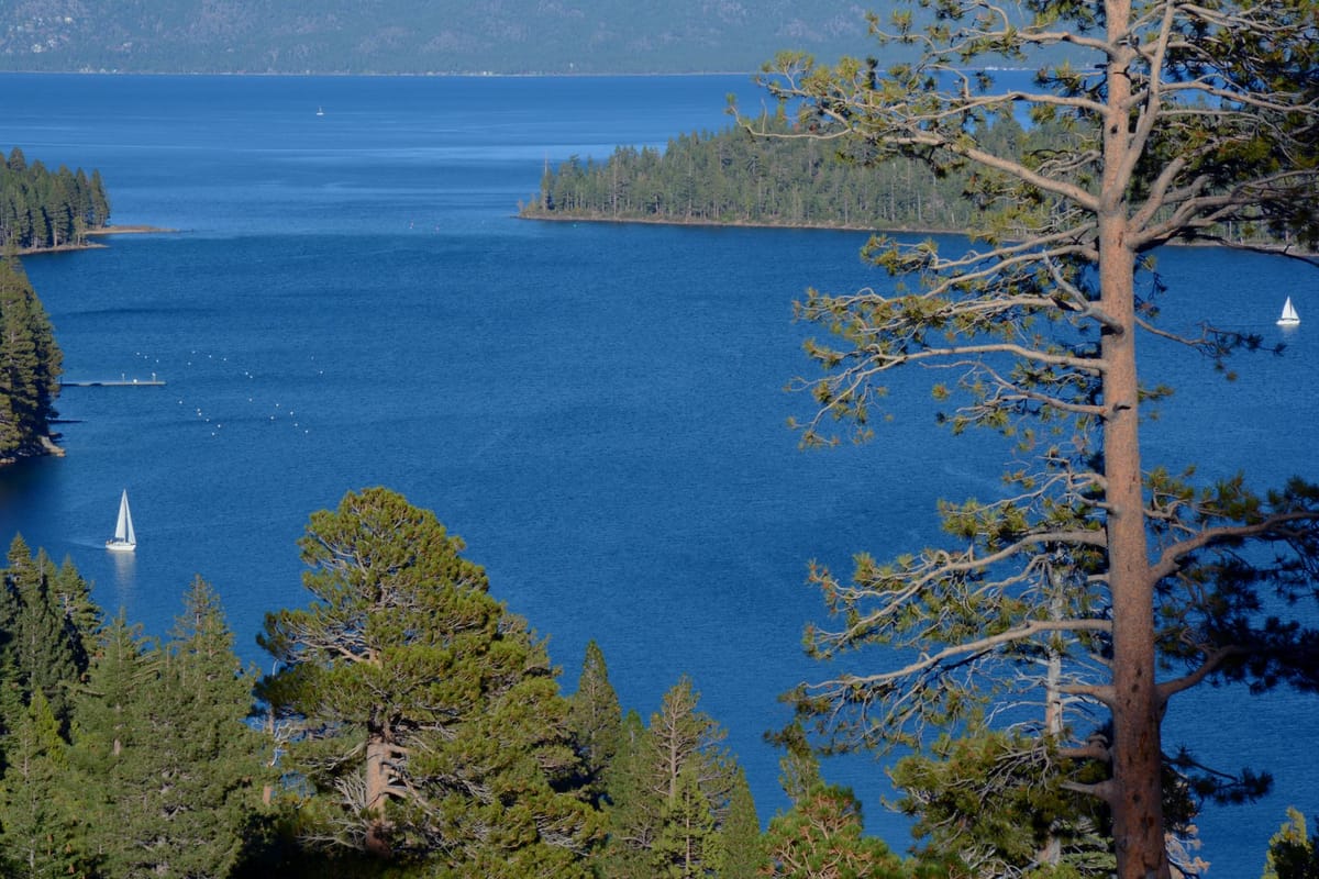 A fleet of sailboats racing across Lake Tahoe with the Sierra Nevada mountains in the background.