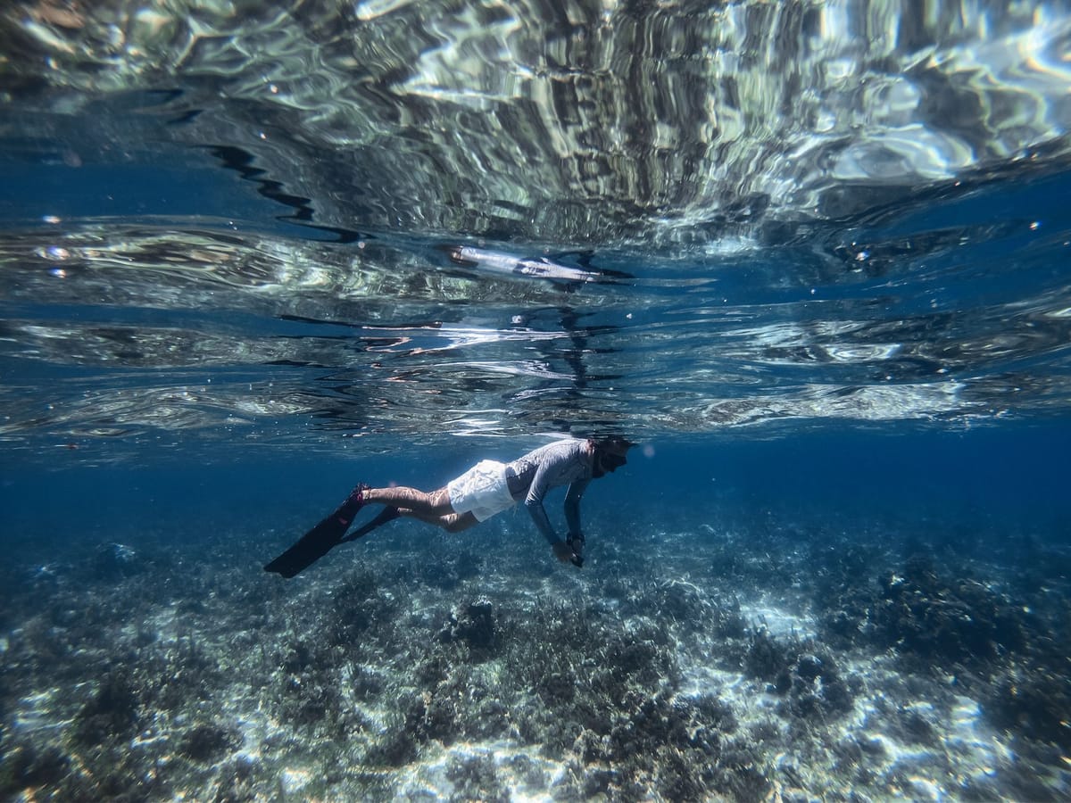 A snorkeler swimming above a vibrant coral reef in the clear waters of the Florida Keys.