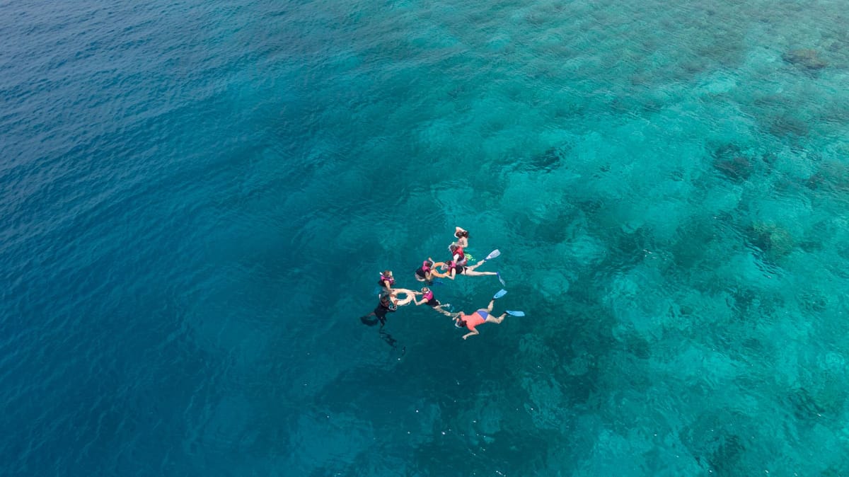 Snorkelers floating above a colorful coral reef in the clear shallow water off Key Largo, Florida.