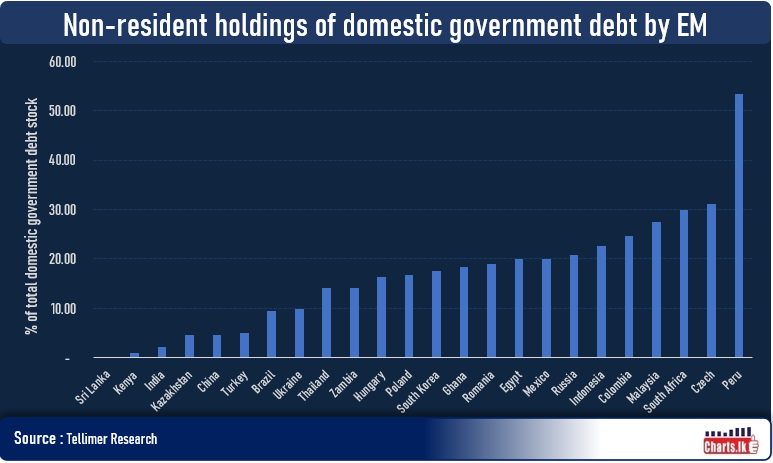 Foreign ownership of EM local government debt signals capital outflow risk among some EMs
