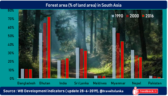 Forest area ( % total land area) in South Asia