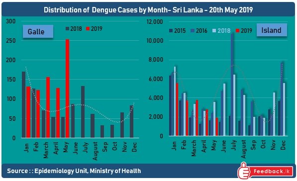 Dengue cases are on the rise 