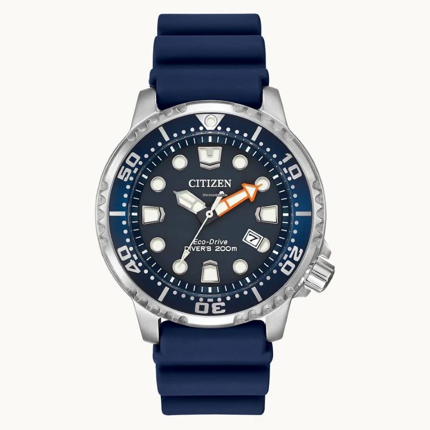 Citizen Promaster Diver (BN0151-09L)