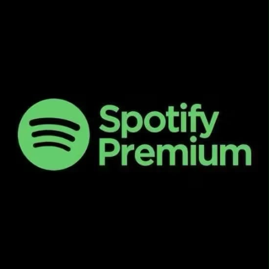 SPOTIFY PREMIUM 1 MES