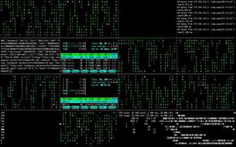 FluffyCornyBetafish-size_restricted.gif