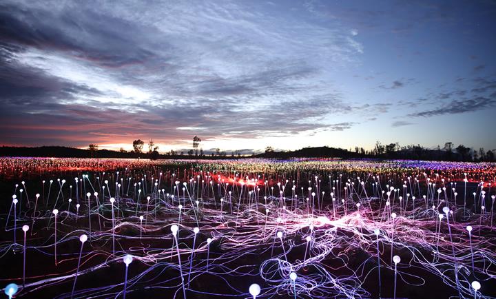 The Field of Light installation at Uluru after dark