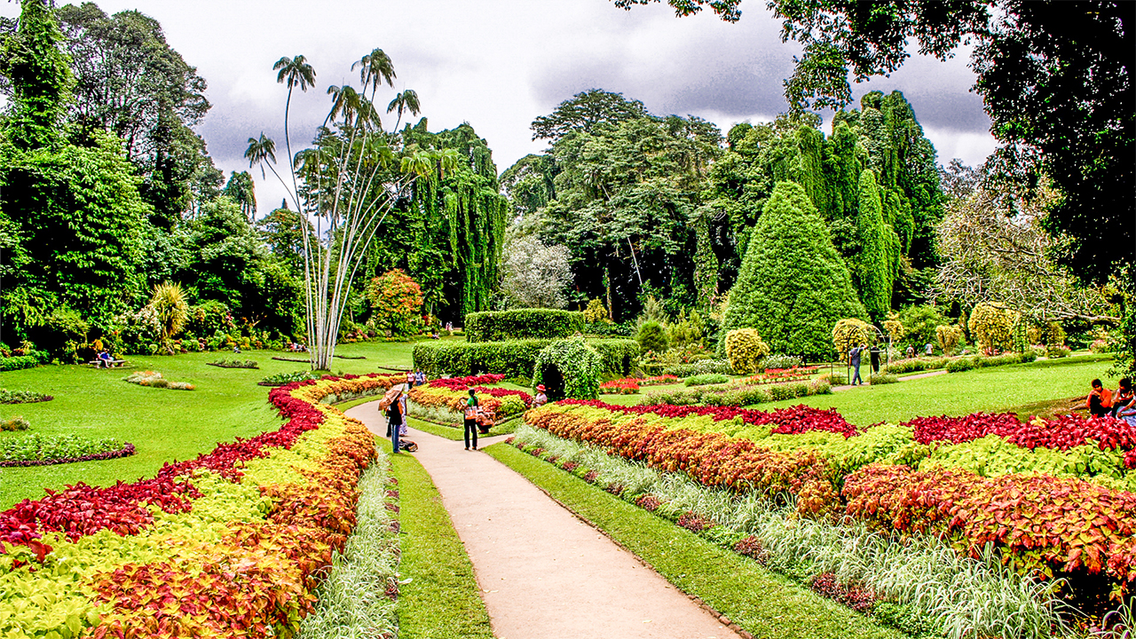 Royal Botanic Garden and Village Life Tour from Kandy - 【Lakpura™】