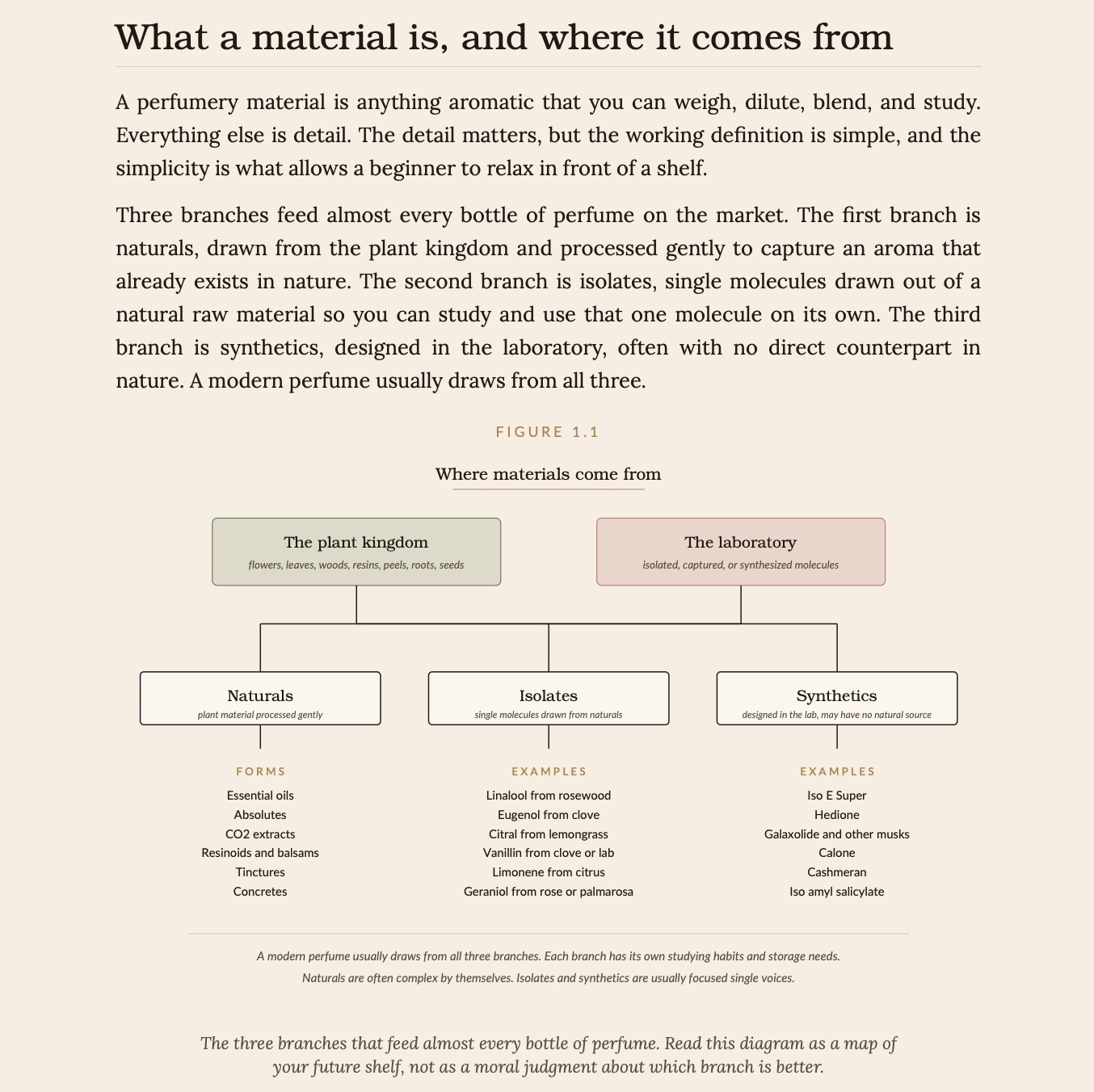 Book 2 - THE SELF GUIDED PERFUMERY STUDIO - Perfumery Materials One Oh One preview 4