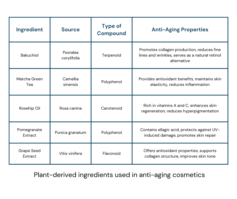 plant based anti aging ingredients