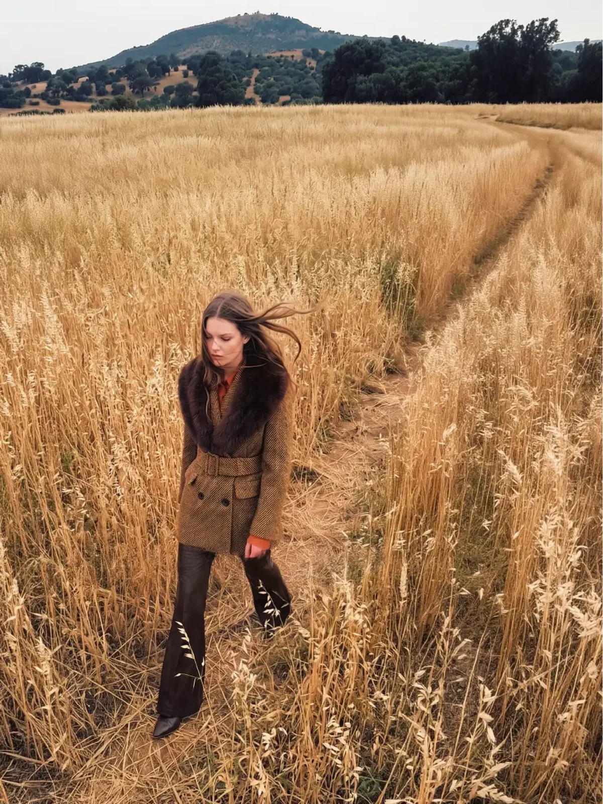 Hero Carousel - Immagine 1