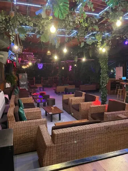 The Jungle