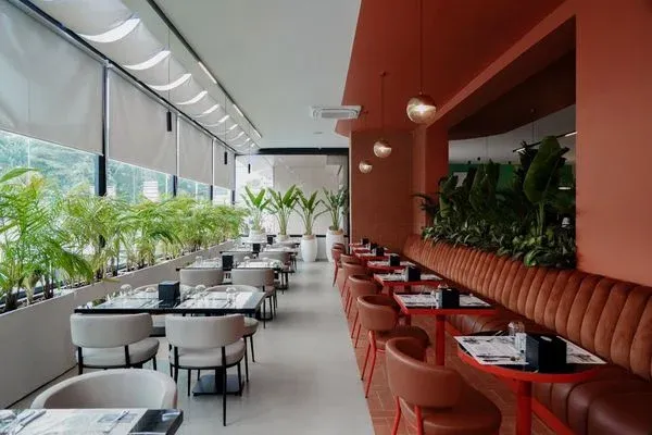 Brasserie du Parc, Plateau