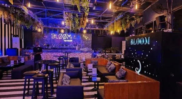 Bloom