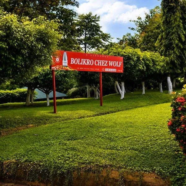 Bolikro chez Wolf, Yamoussoukro