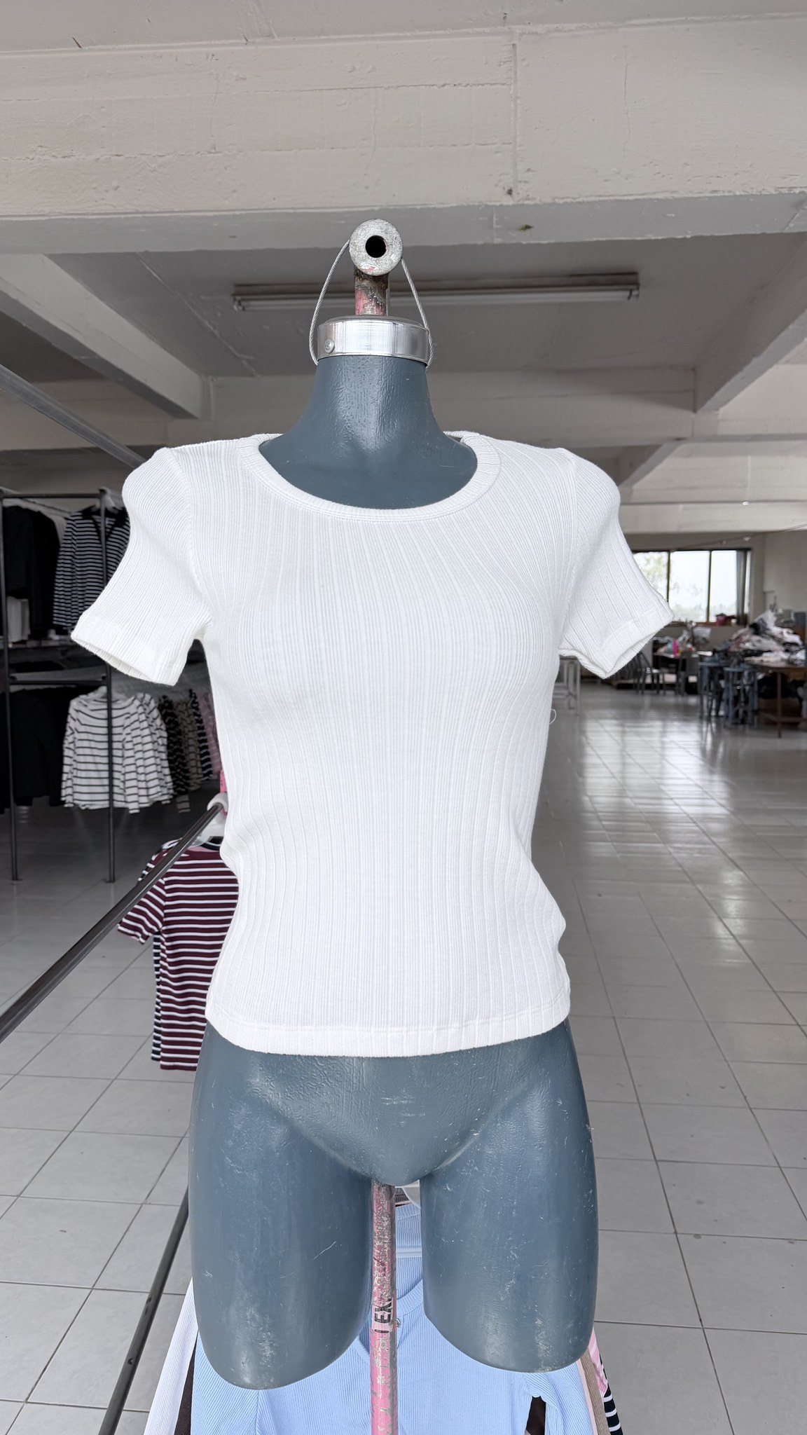 Blusa básica de viscosa acanalada, manga corta y cuello redondo