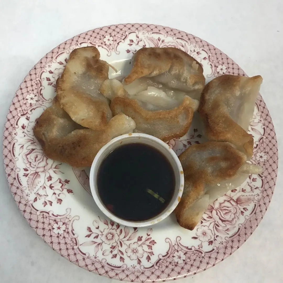 Fried Dumplings