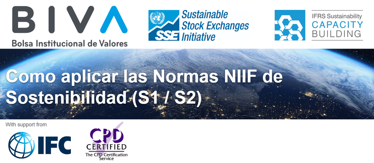 Taller de capacitación sobre las Normas NIIF de Divulgación sobre Sostenibilidad
