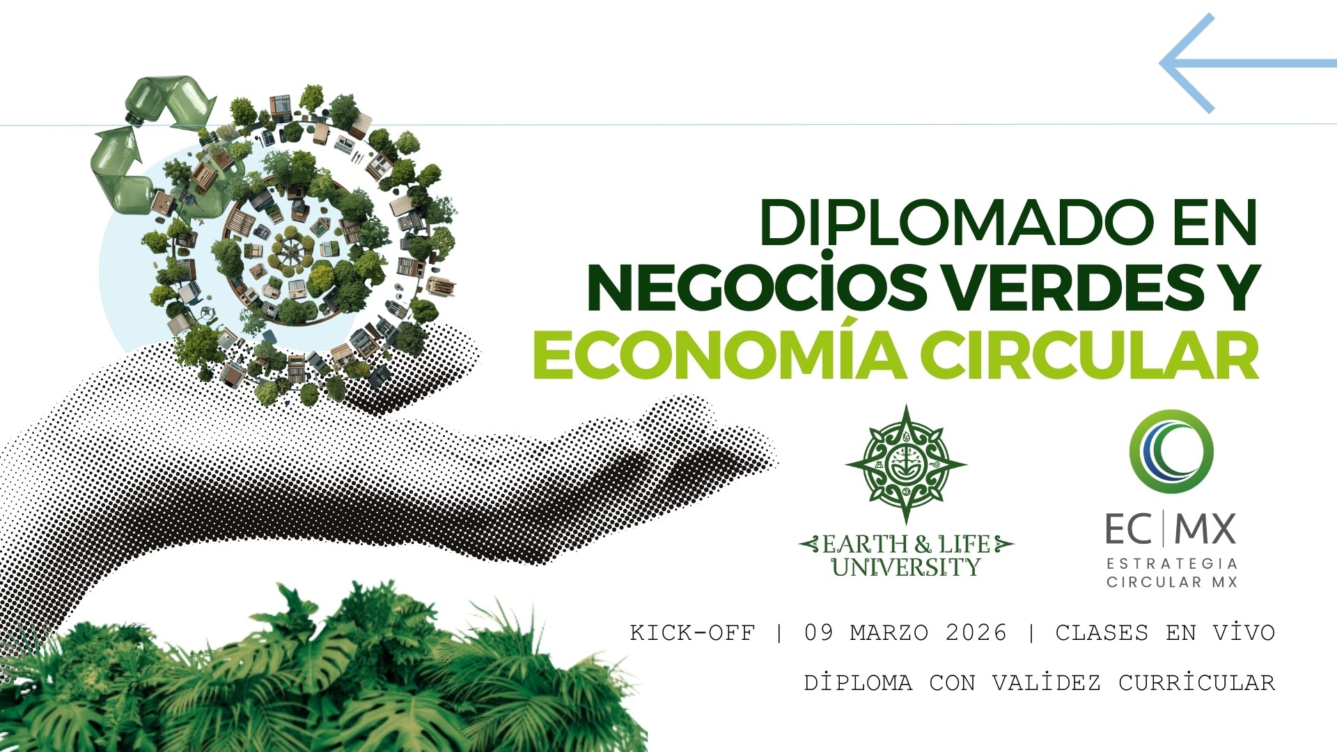 Diplomado en Economía Circular y Negocios Verdes