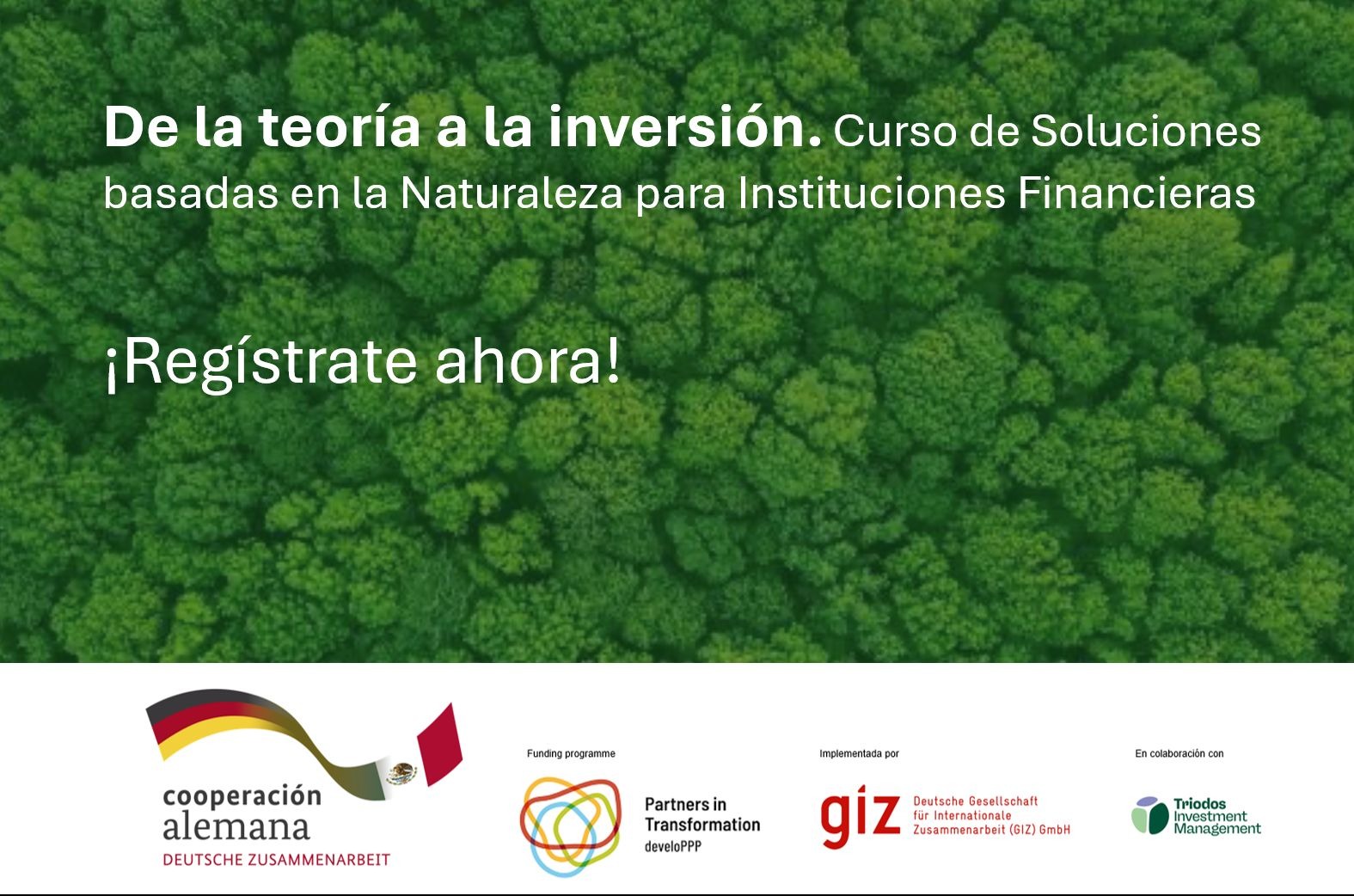 De la teoría a la inversión: curso de soluciones basadas en la naturaleza para instituciones financieras