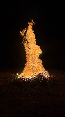 Foto por Ani