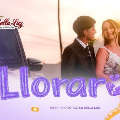 Portada de Llorar
