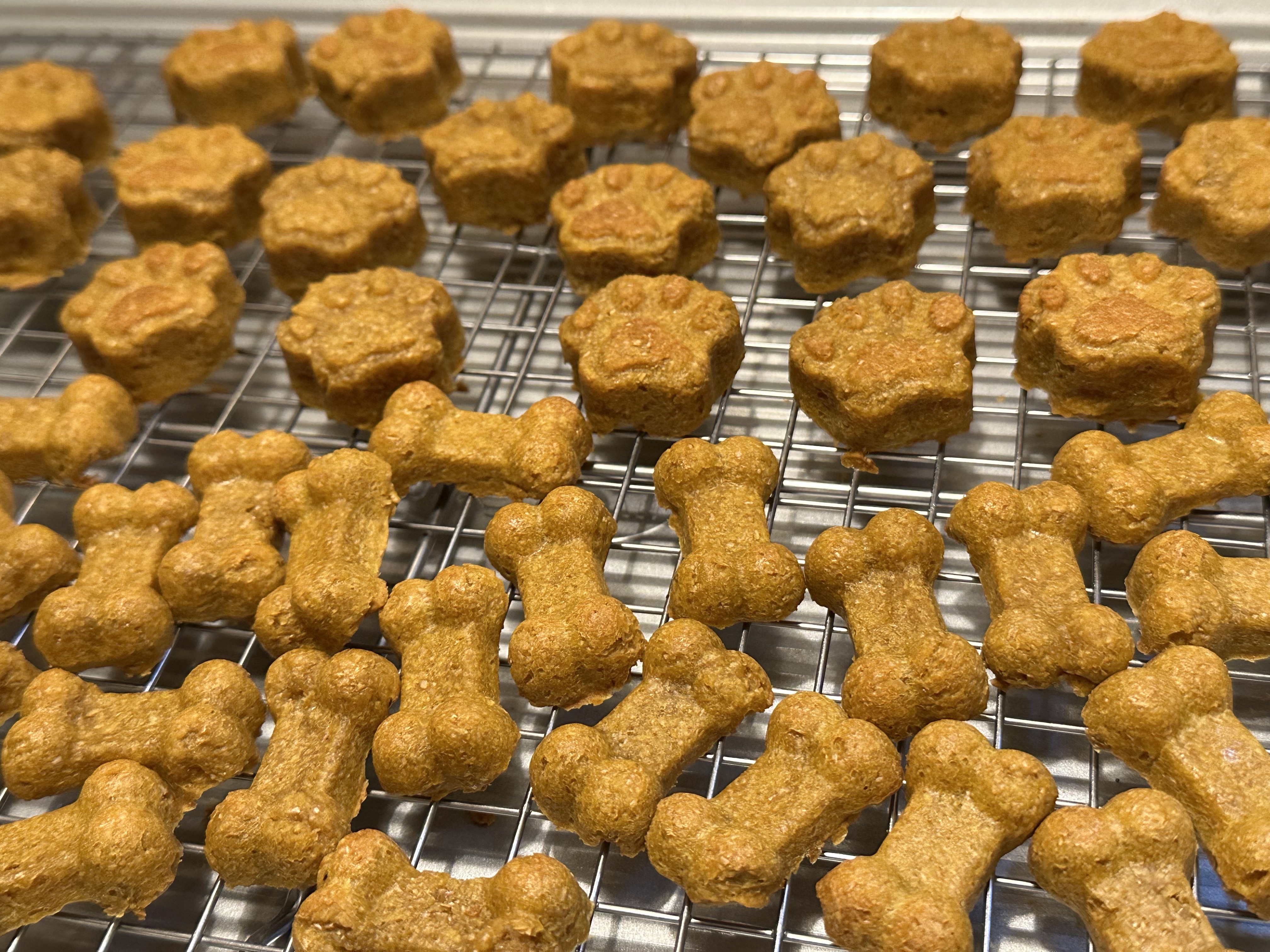 Jordie's Chomp Chomps