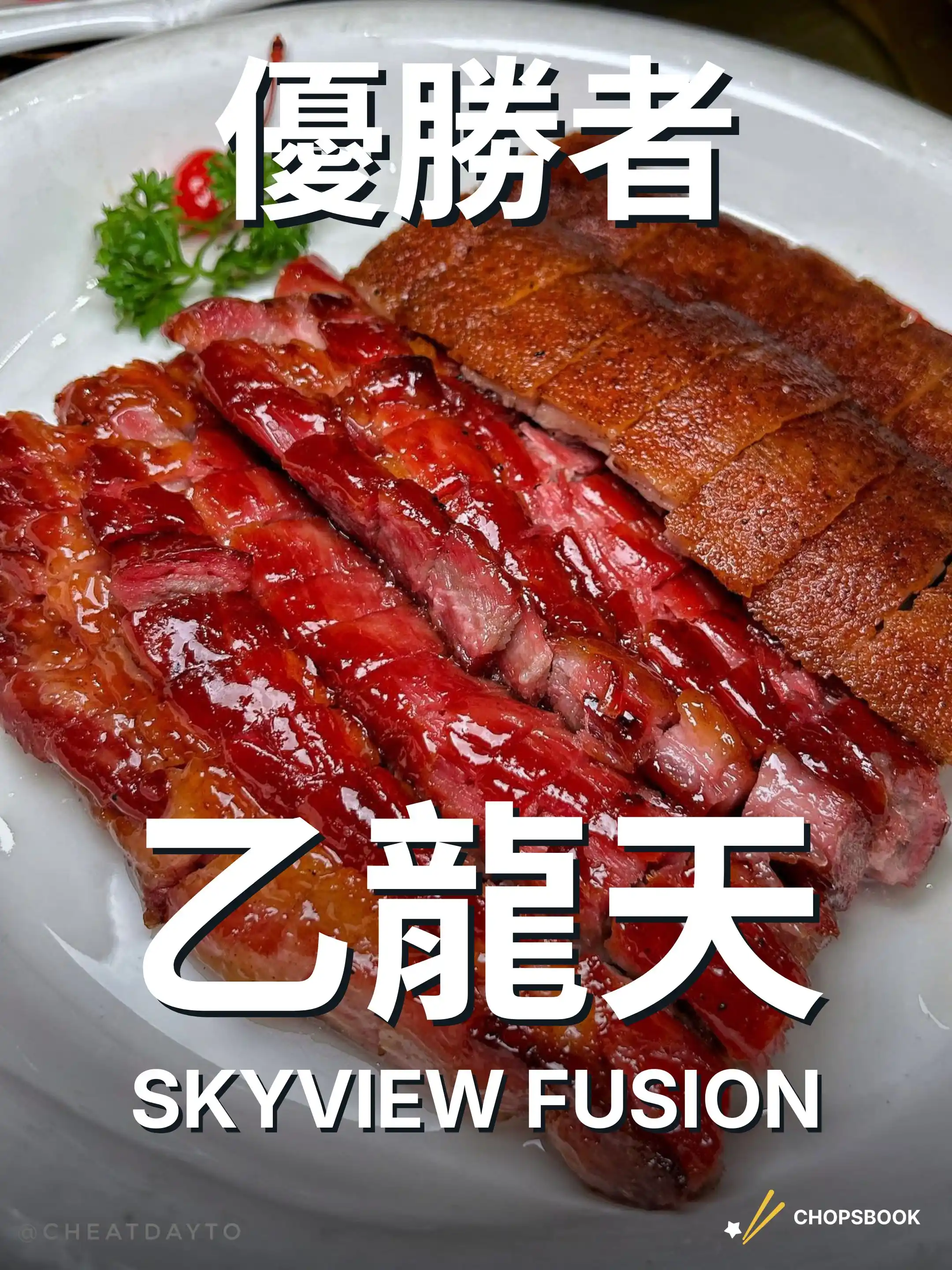 2025 民選多倫多最強 燒味篇 section 2