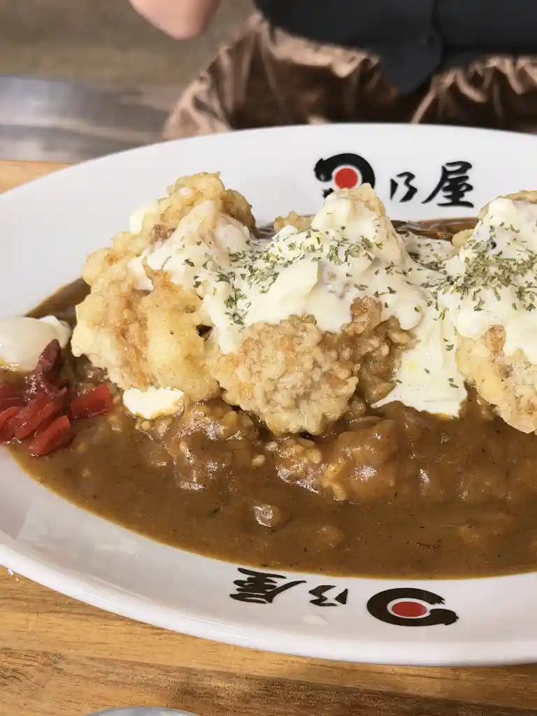 Hinoya Curry - 正正常常普通咖喱飯 (照片 2)