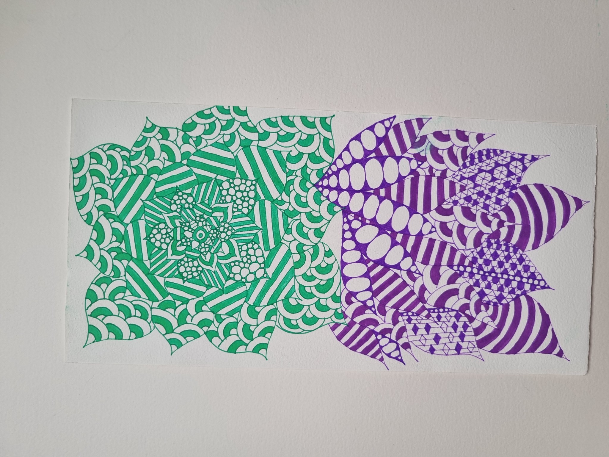 Feuillage — Cécile B