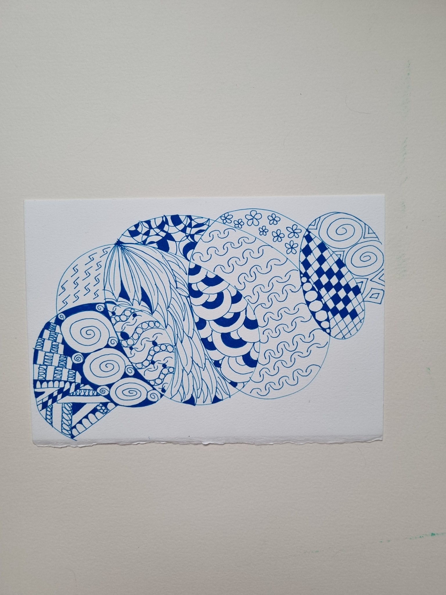 Coquillage