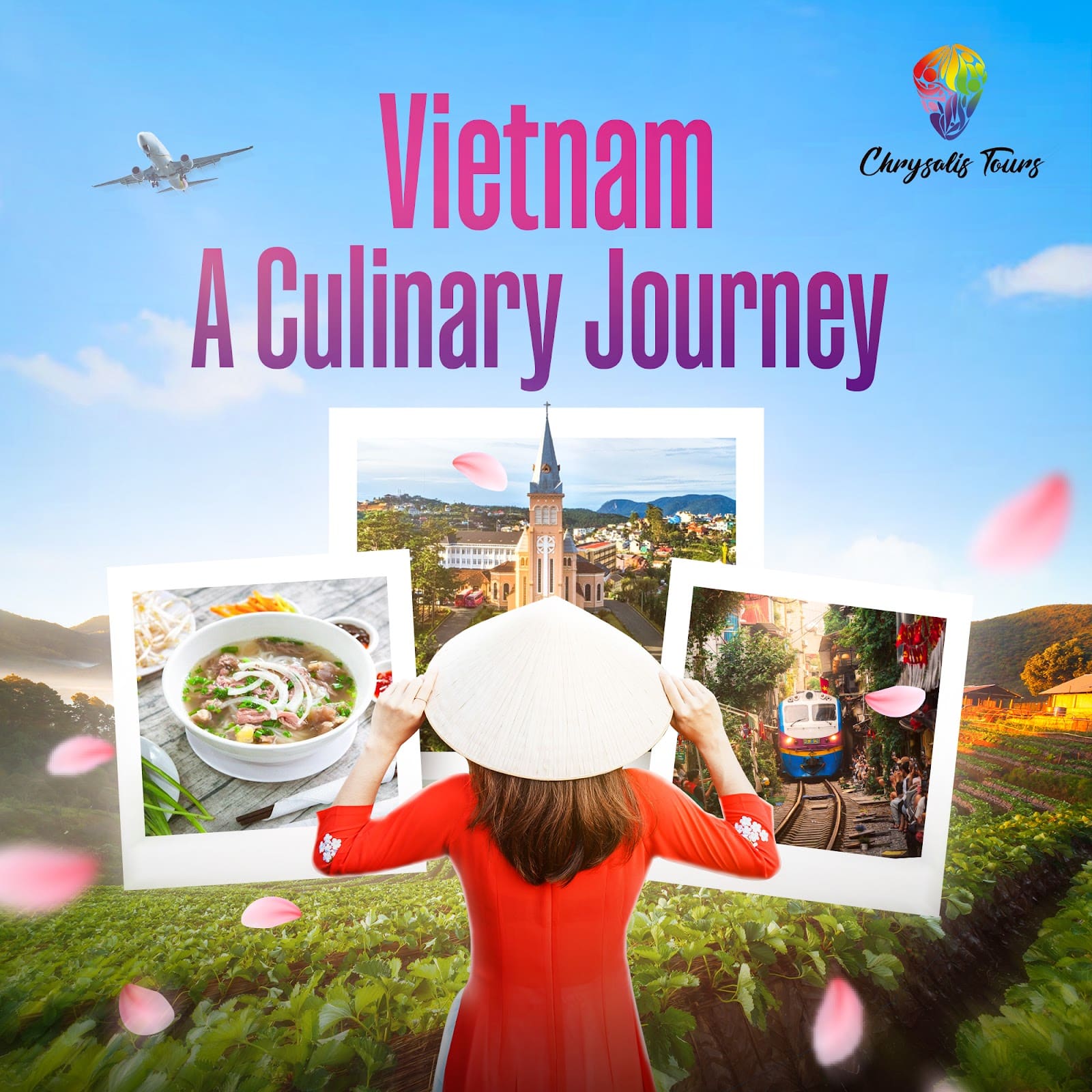 Vietnam: A Culinary Journey