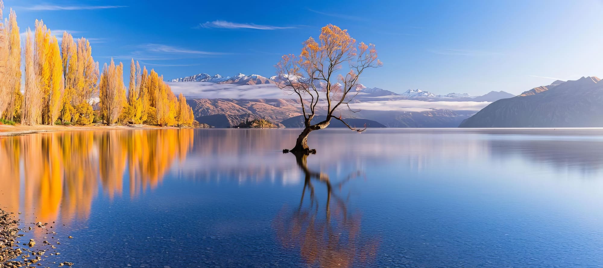 Singapore to Christchurch
