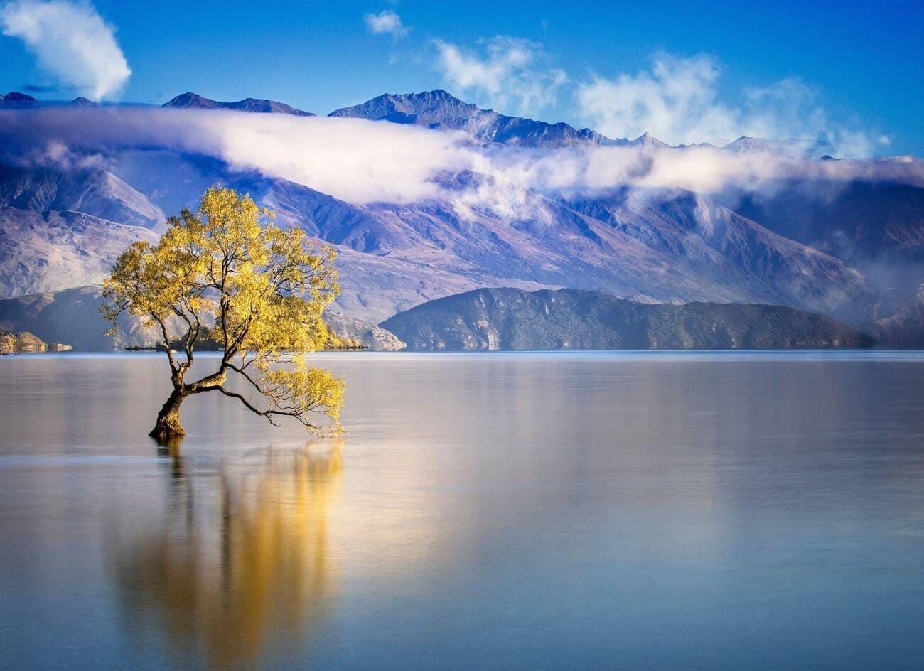 New Zealand North and South Island Discovery Tour (11D9N) thumbnail 8
