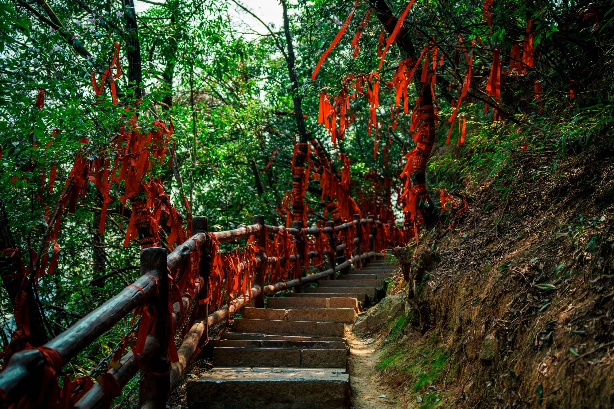 Main image for Mystical Zhangjiajie: Journey Through Heaven's Door (8D7N) - 1 of 6