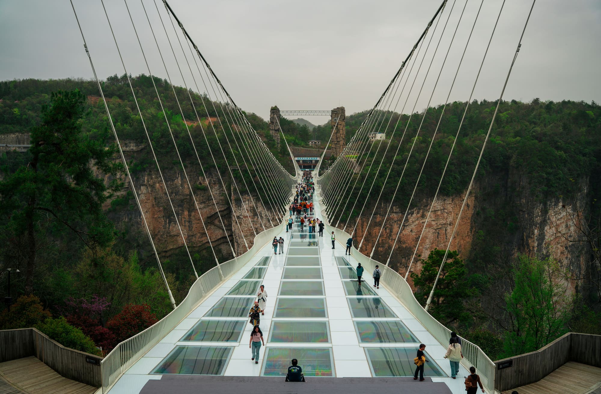Mystical Zhangjiajie: Journey Through Heaven's Door (8D7N) thumbnail 3