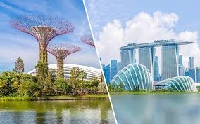 Heart & Hustle: Discover the Soul of Singapore in Half a Day! thumbnail 6