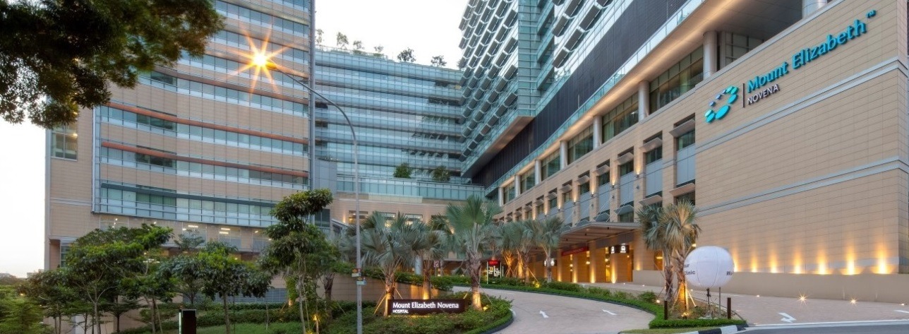Private Medical & Wellness Discovery Tour in Singapore thumbnail 2