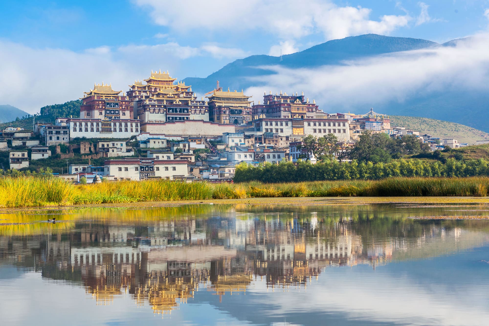 Yunnan Grand Journey — Kunming, Dali, Lijiang & Shangri-La (10D9N) thumbnail 5