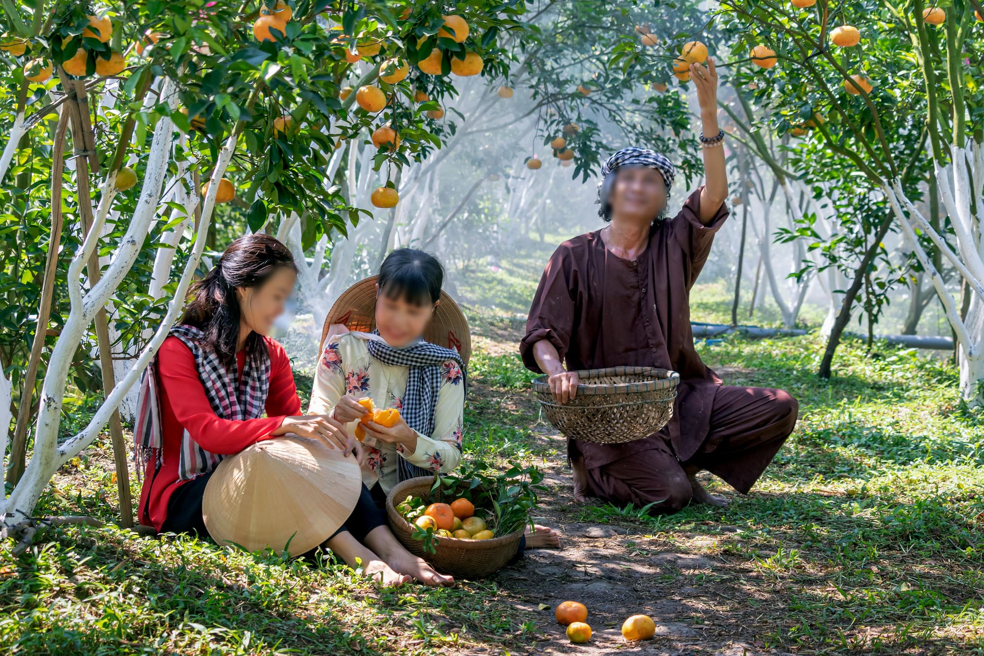 Southern Vietnam Coastal Discovery — Ho Chi Minh City, Mekong Delta & Coastline Private (8D7N) thumbnail 7